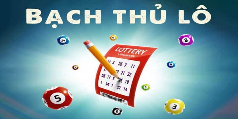 Bắt Bạch Thủ Lô Bắt Bạch Thủ Lô với các chiến thuật hiệu quả