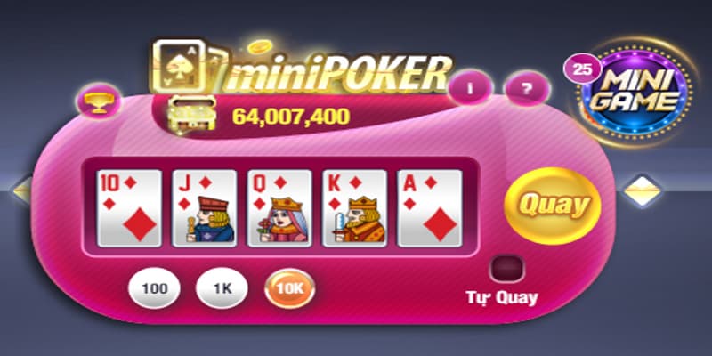 Mini pocker vì sao được ưa chuộng?