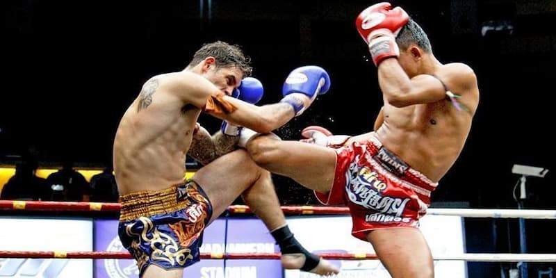 Vài nét cơ bản về cá cược boxing tại W88