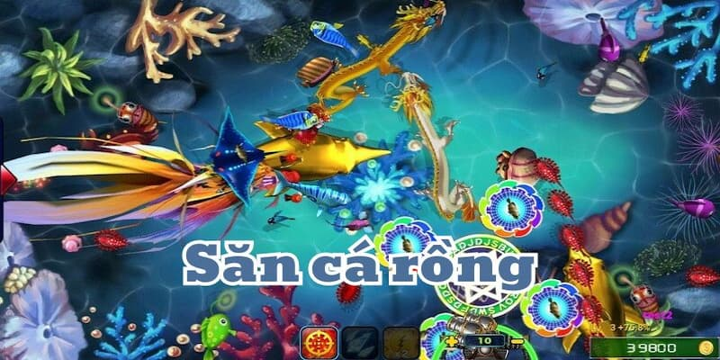 Bắn Cá Rồng W88VT